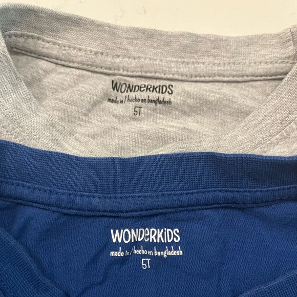 Pair of 2 boys long sleeve tee shirts, size 5T - Picture 2 of 4